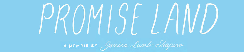 Promise Land by Jessica Lamb Shapiro